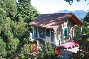 La Camelia d'Oro
